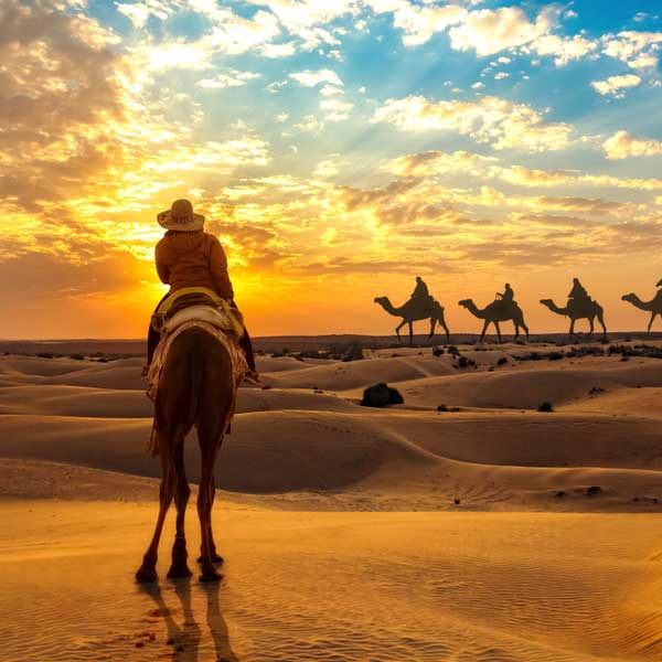 Travel Agency in Udaipur