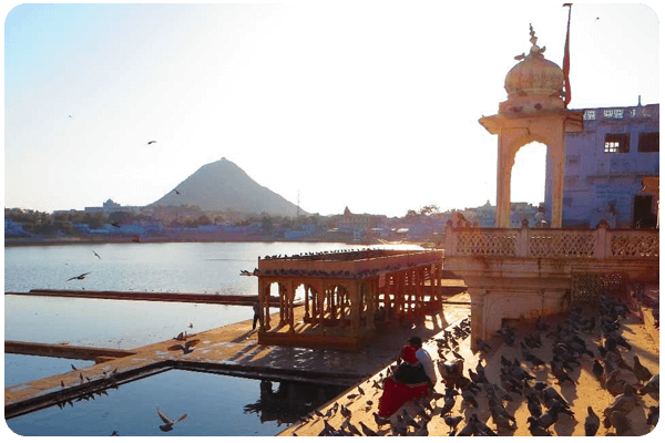 Travel Agency in Rajasthan